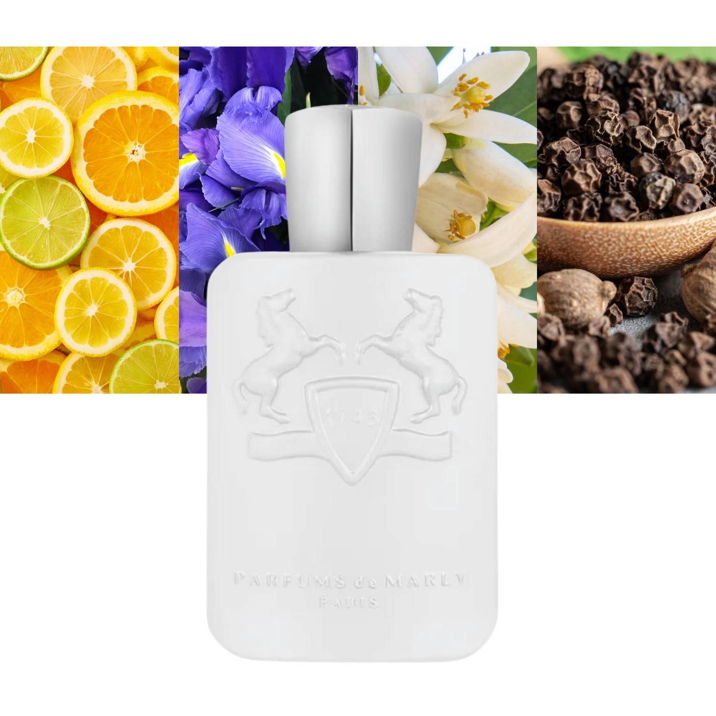 Galloway by Parfums de Marly - Decant / Sample