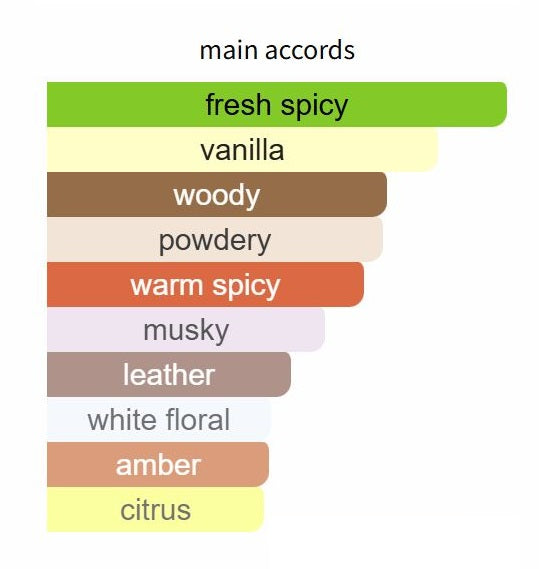 Neverending by The House of Oud - Decant / Sample