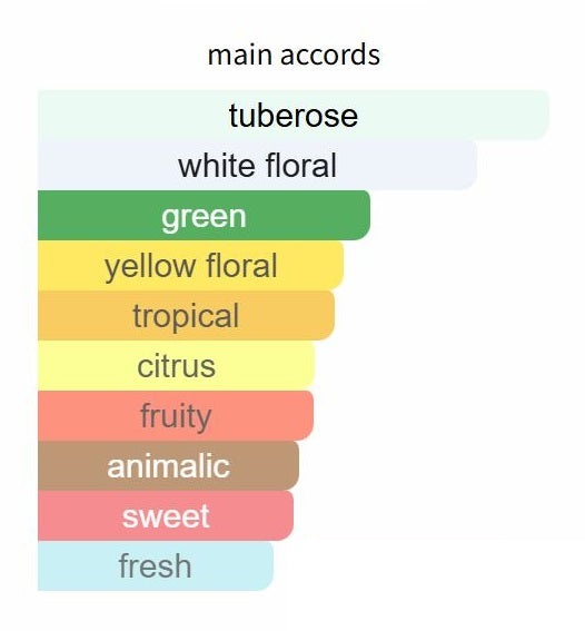 Atlantide by Tiziana Terenzi - Decant / Sample