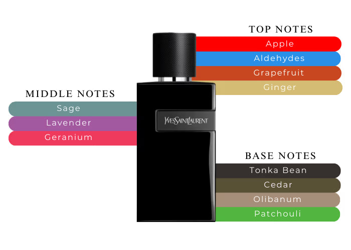 Y Le Parfum by Yves Saint Laurent - Decant / Sample