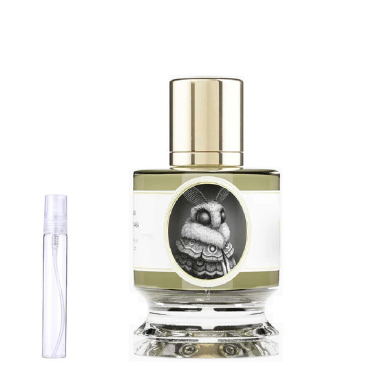 Moth by Zoologist - Decant