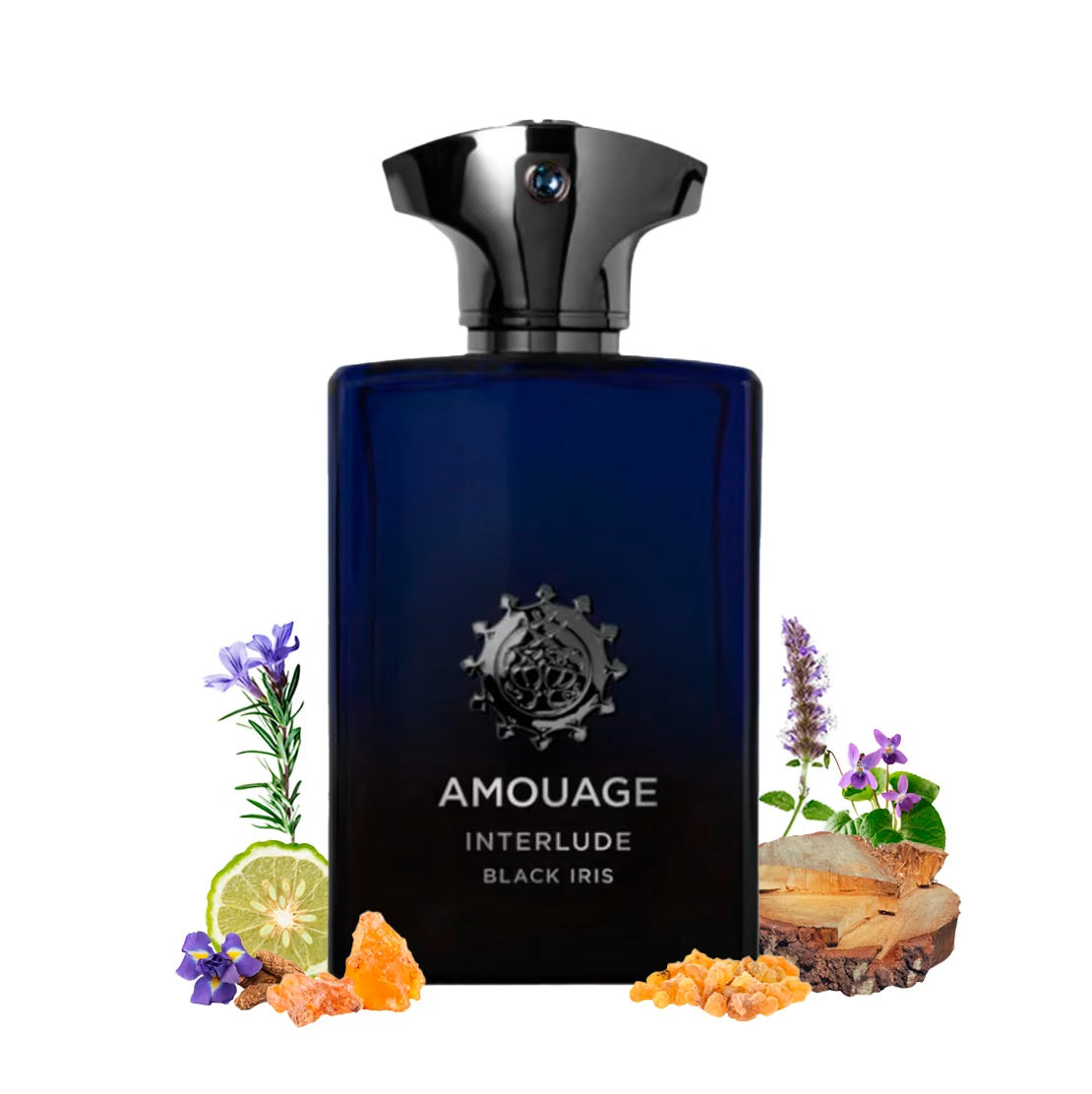 Interlude Black Iris - Decant / Full Bottle