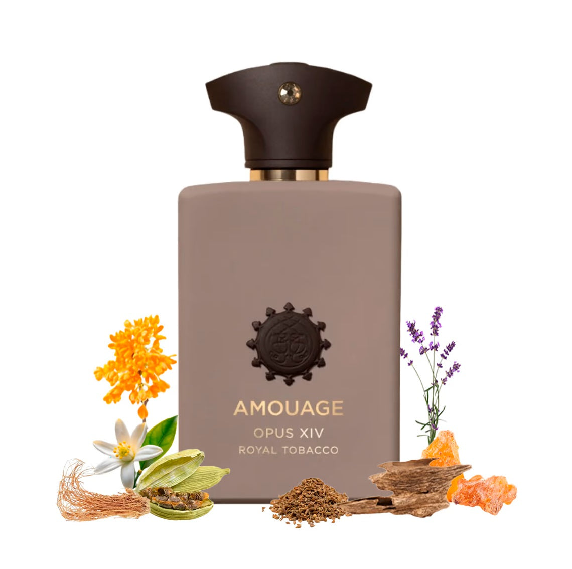 Opus XIV Royal Tobacco - Decant / Full Bottle