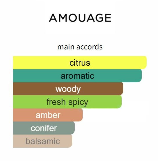 Search by Amouage - Decant / Sample / Full Bottle