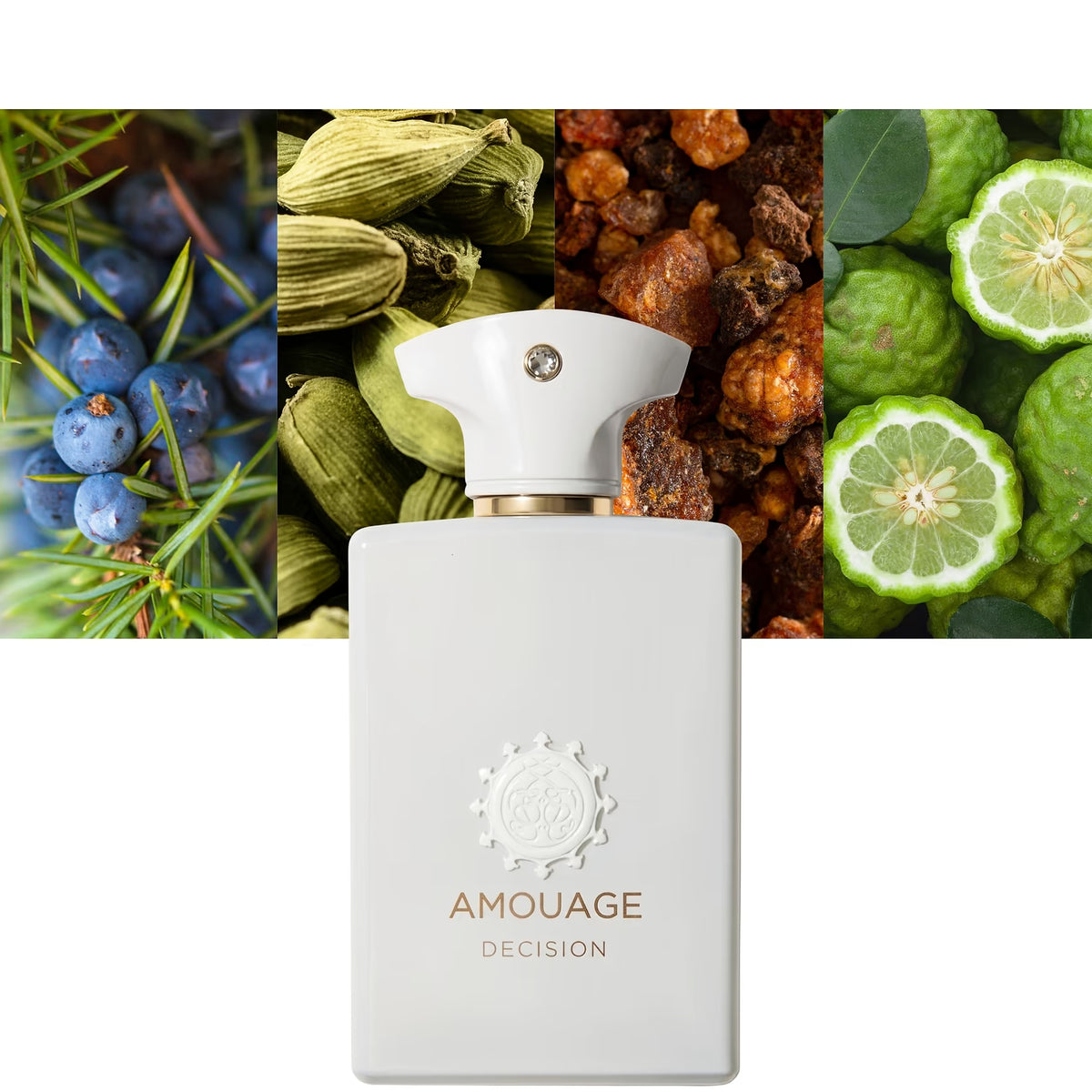 Decision by Amouage - Decant / Full Bottle