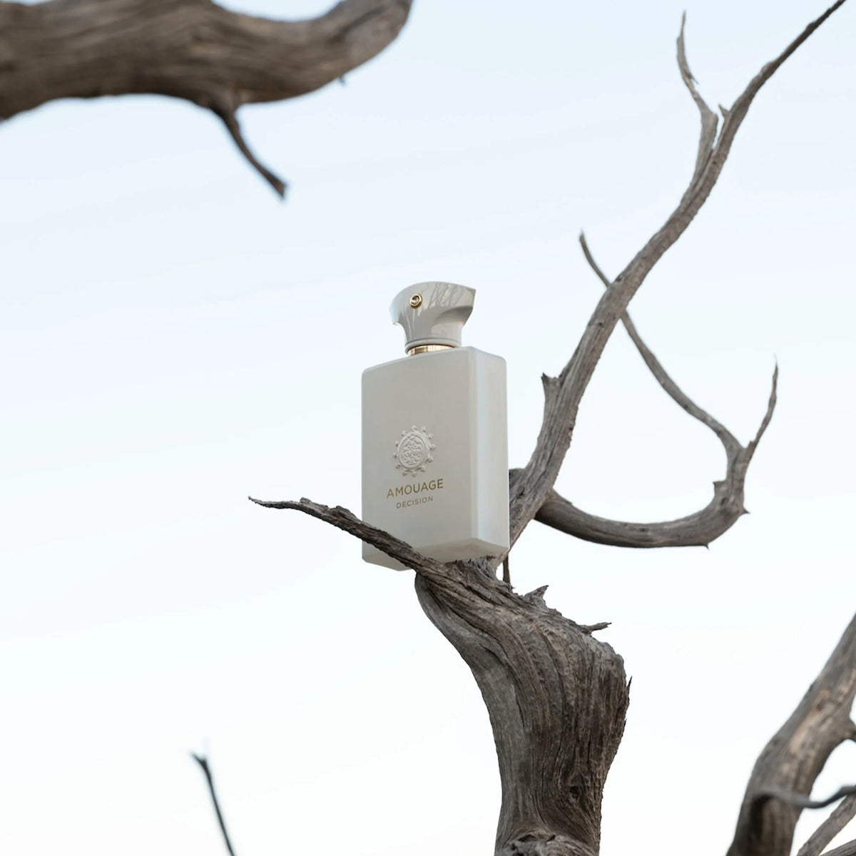 Decision by Amouage - Decant / Full Bottle