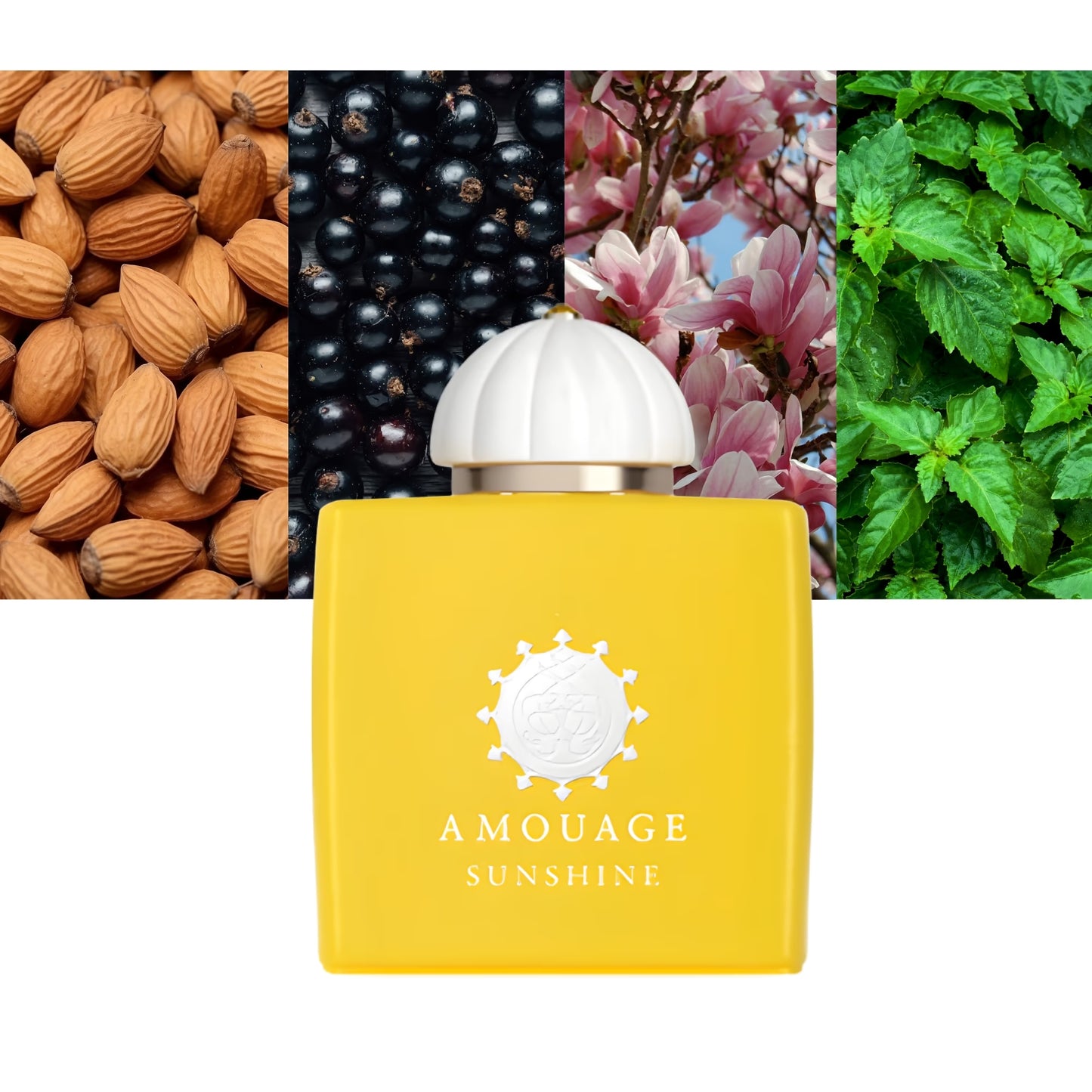 Sunshine Amouage - Decant / Sample