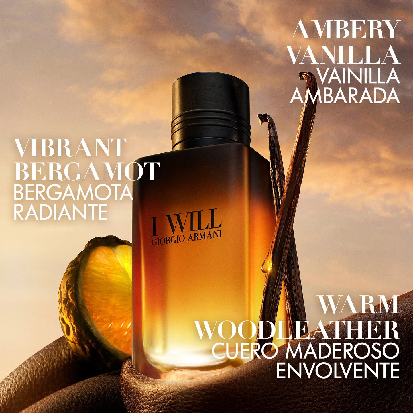 Armani I Will 2026 - Decant / Sample