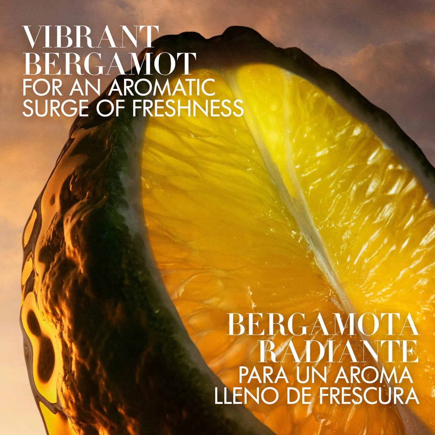 Armani I Will 2026 - Decant / Sample