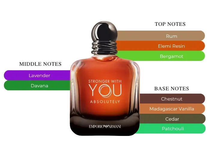 Stronger With You Absolutely by Giorgio Armani - Decant / Sample