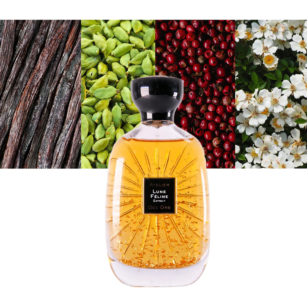 Lune Feline Extrait - Decant / Full Bottle