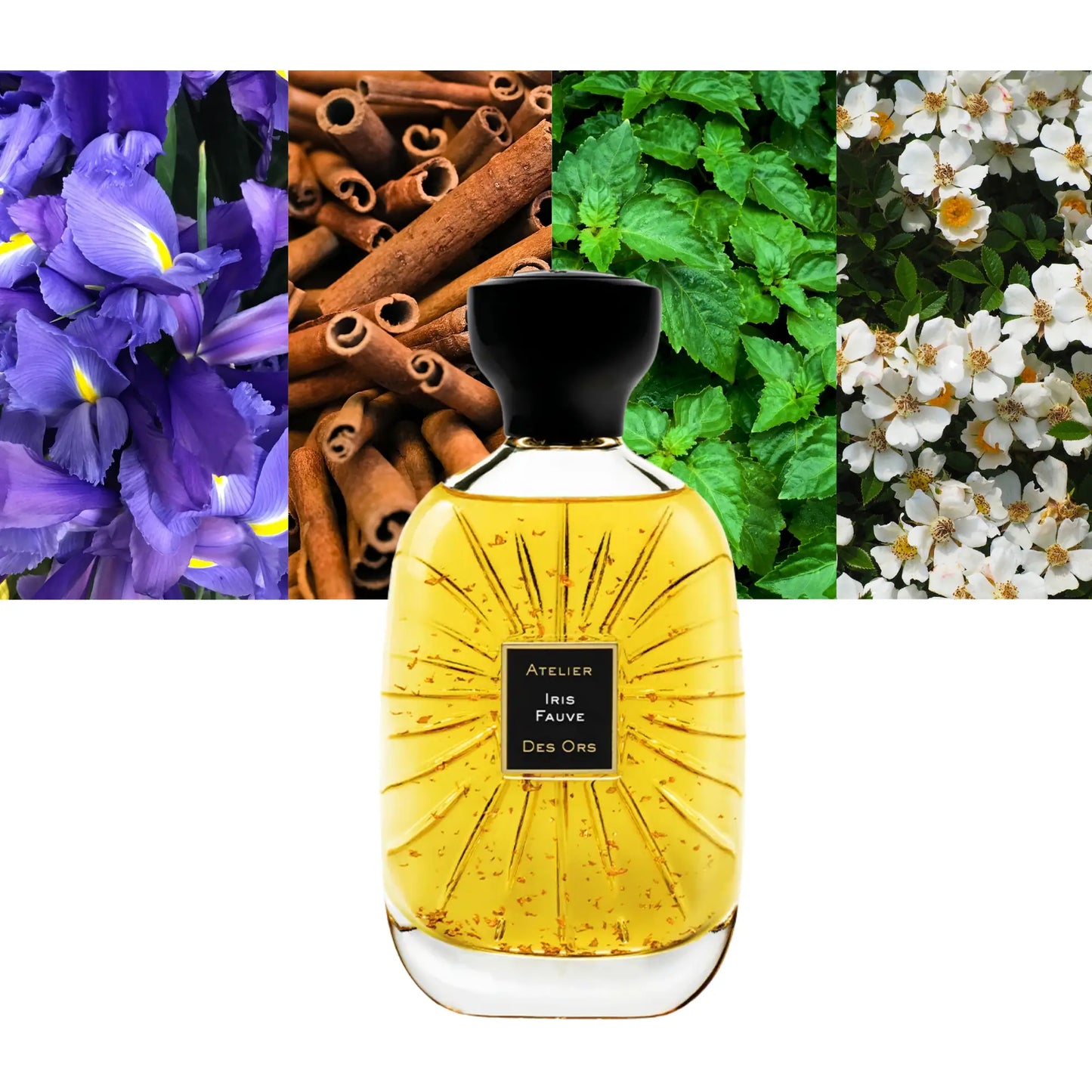 Iris Fauve - Decant / Full Bottle