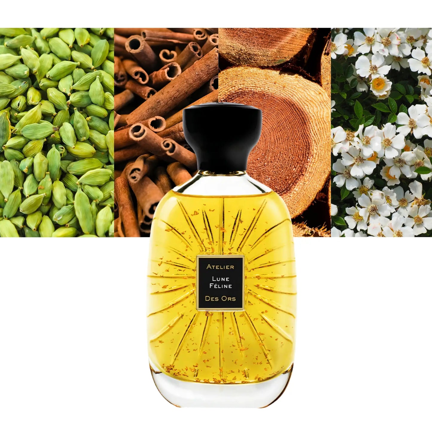 Lune Feline EDP - Decant / Full Bottle