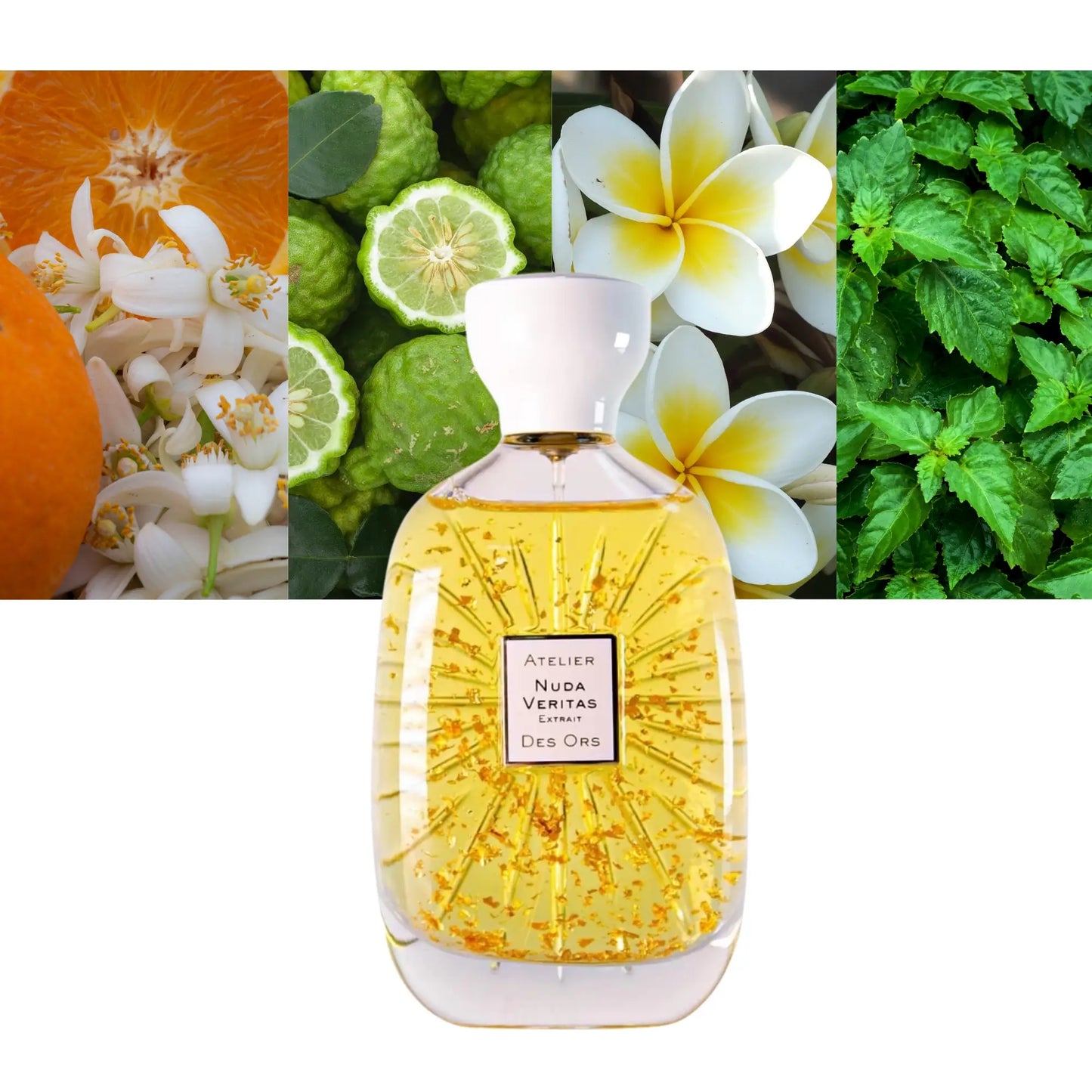 Nuda Veritas Extrait - Decant / Full Bottle