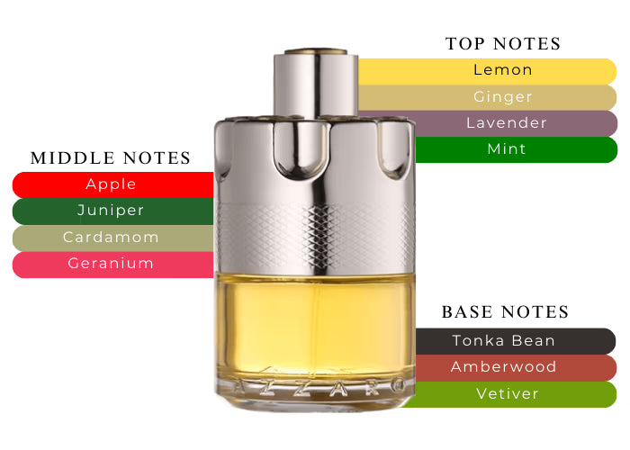 The Most Wanted EDT - Decant / Sample