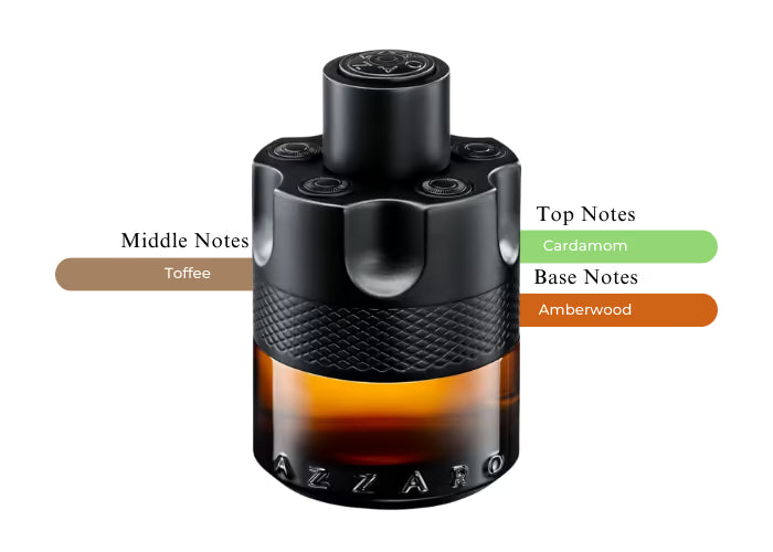 The Most Wanted Parfum - Decant / Sample