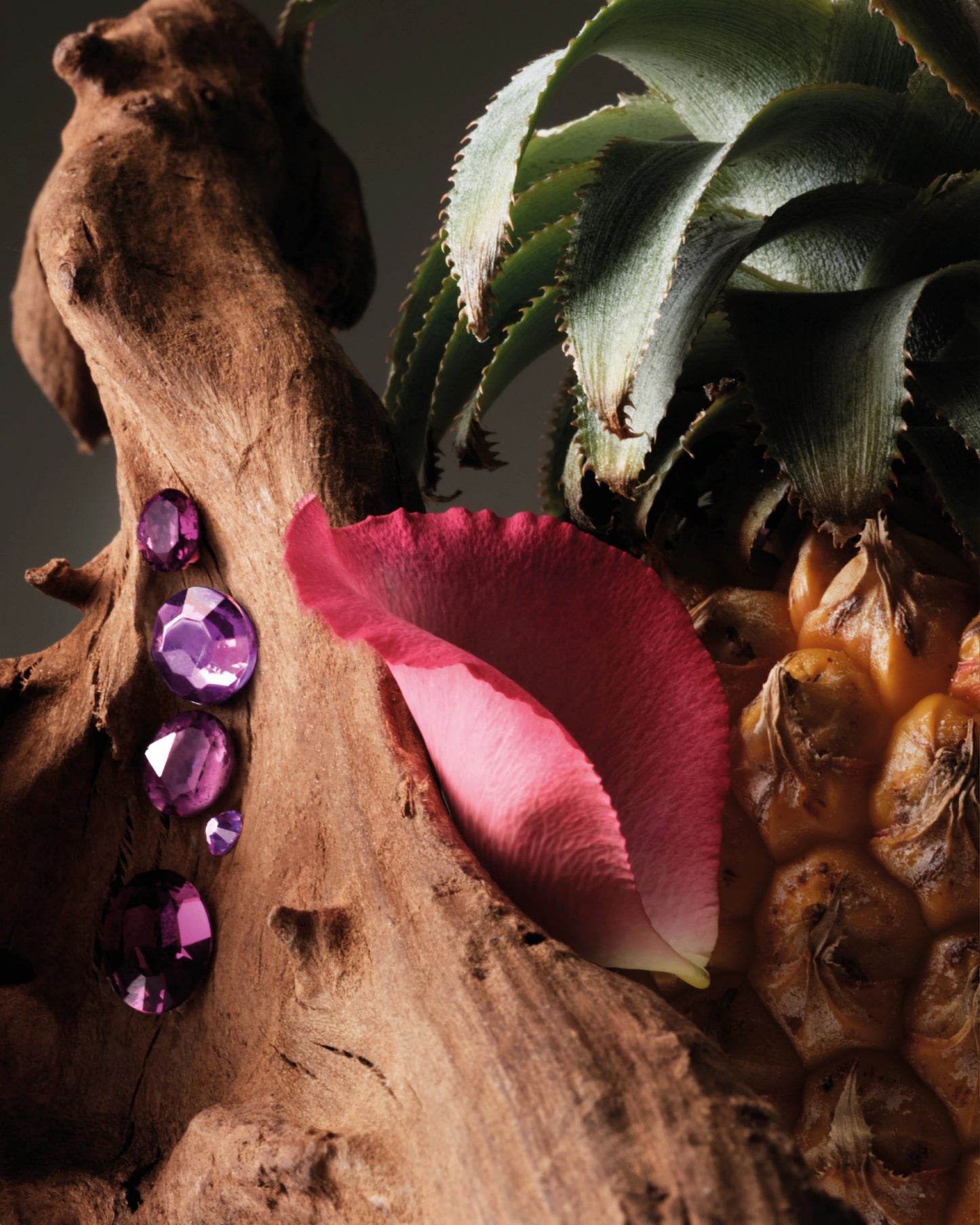 Oud Paradisio - Decant / Sample