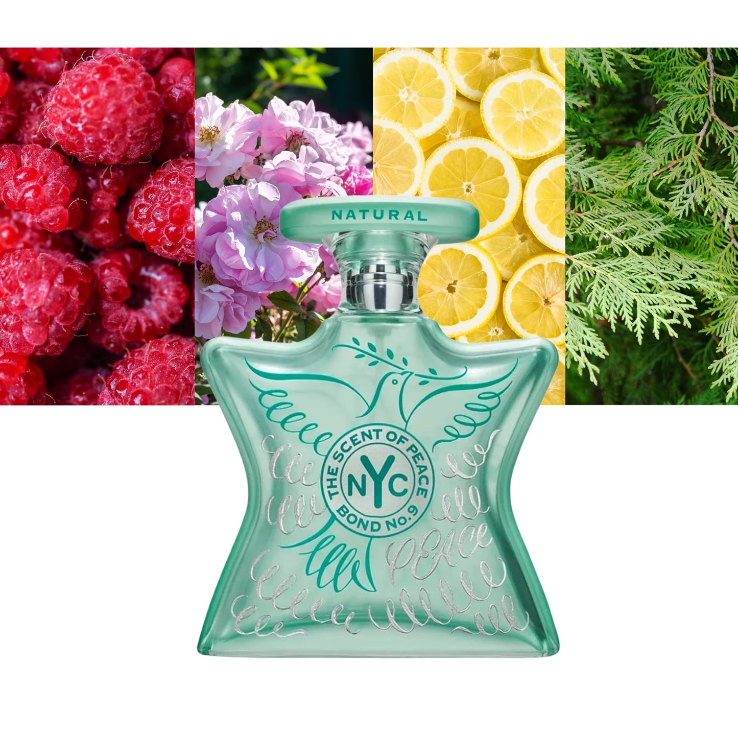 The Scent of Peace Natural - Decant / Full Bottle