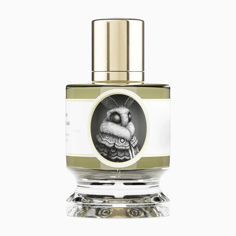 Moth by Zoologist - Decant