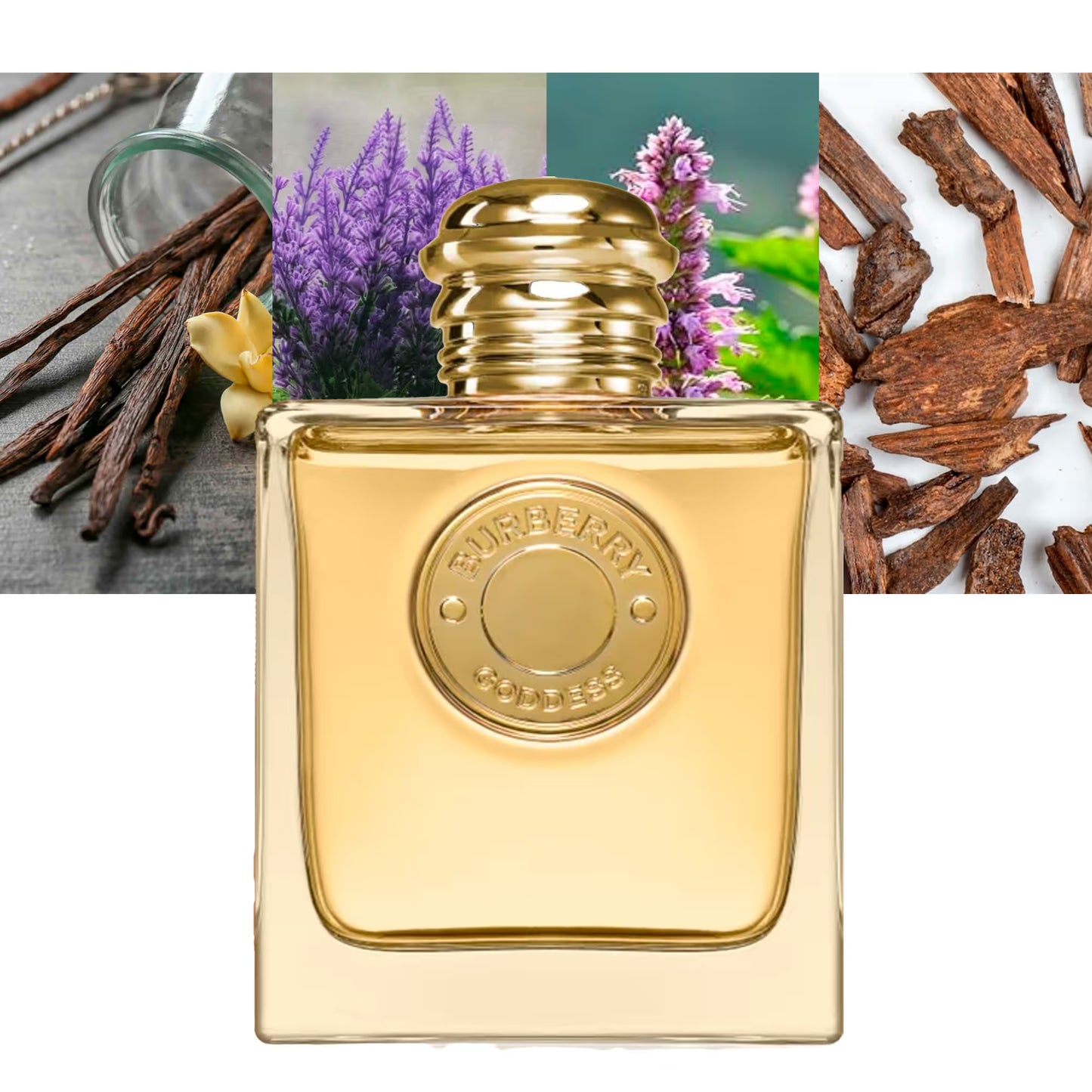 Goddess Intense by Burberry - Decant / Sample