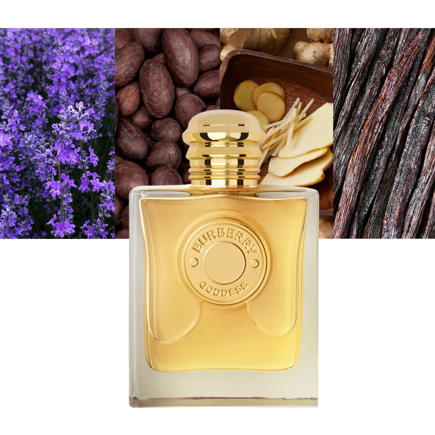 Goddess Parfum 2025 by Burberry - Decant / Sample