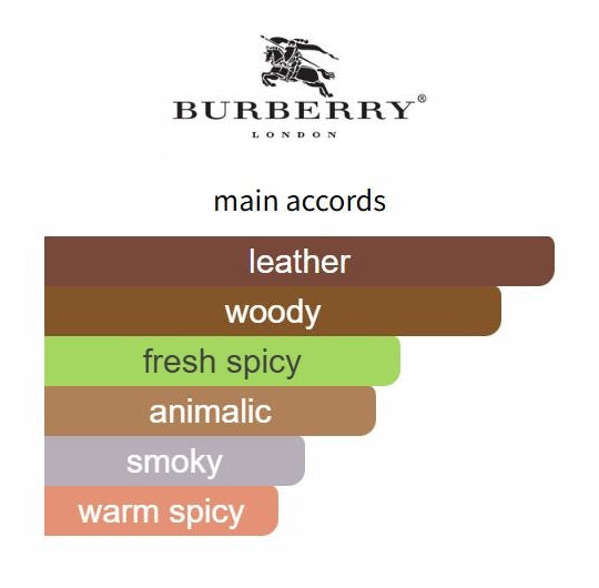 Hero Parfum Intense by Burberry - Decant / Sample