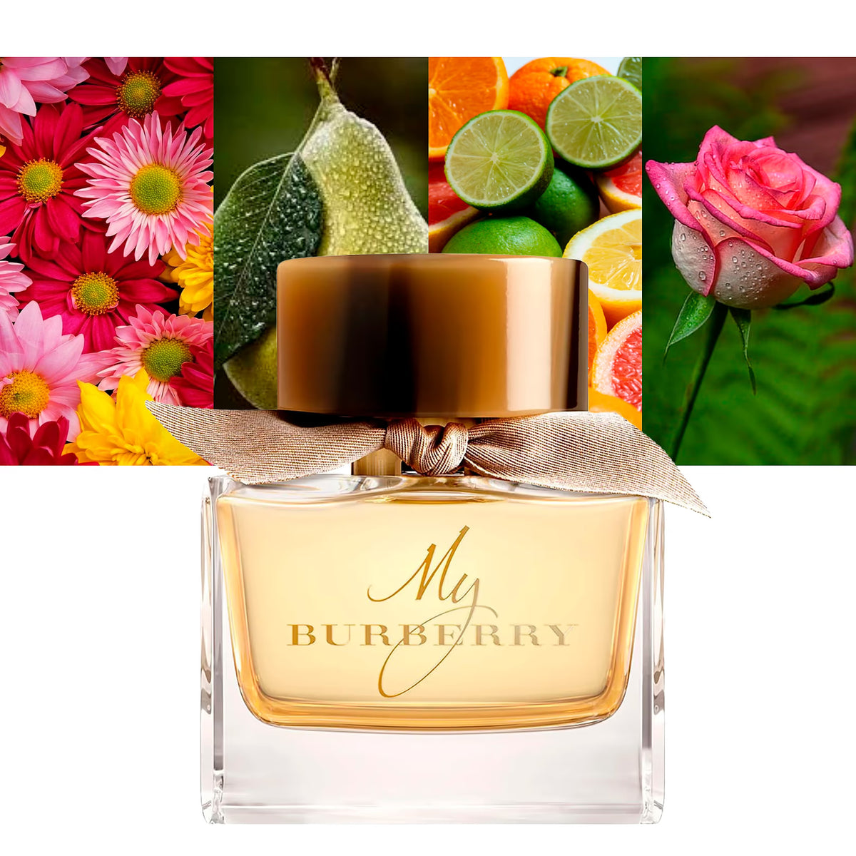 My Burberry EDP - Decant / Sample