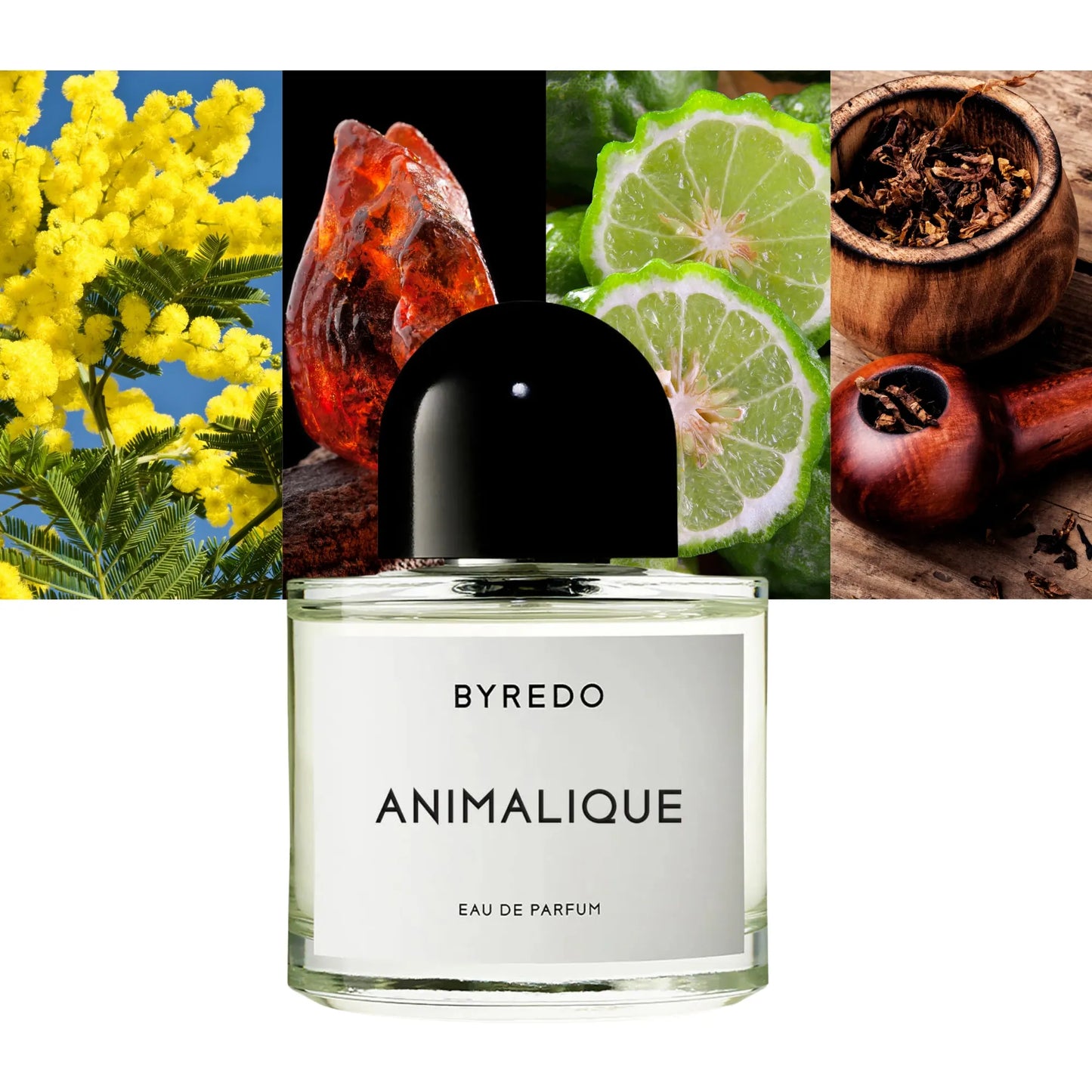 Animalique - Decant / Full Bottle