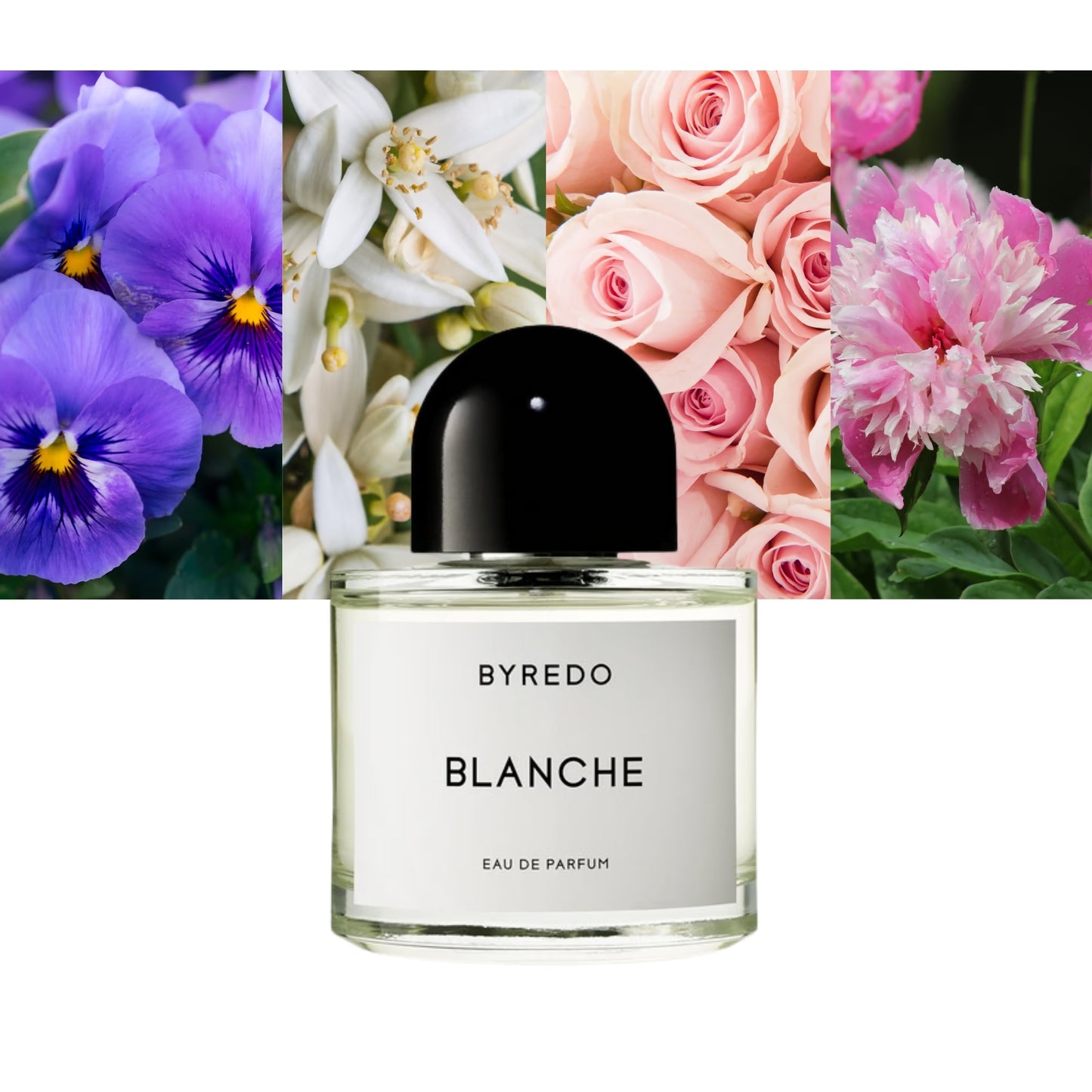 Blanche EDP - Decant / Full Bottle
