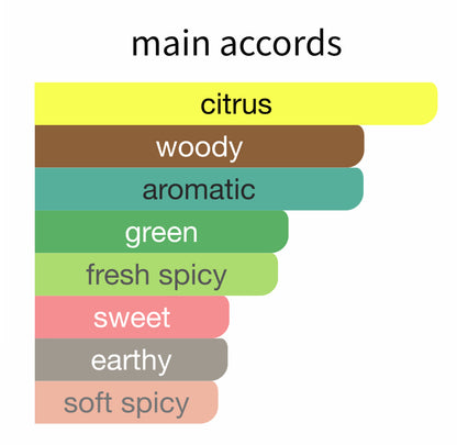 20 Iconic Masculine - Decant / Sample