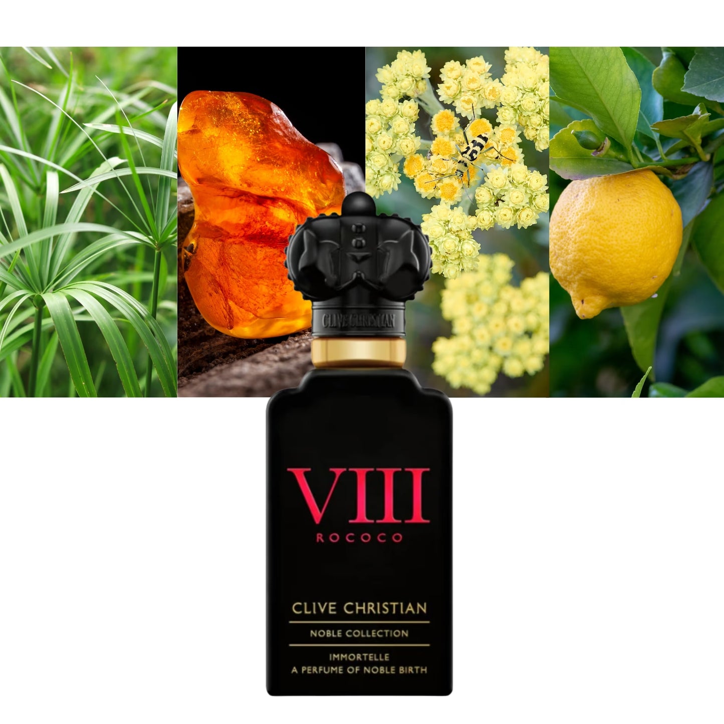 VIII Rococo Immortelle - Decant / Full Bottle