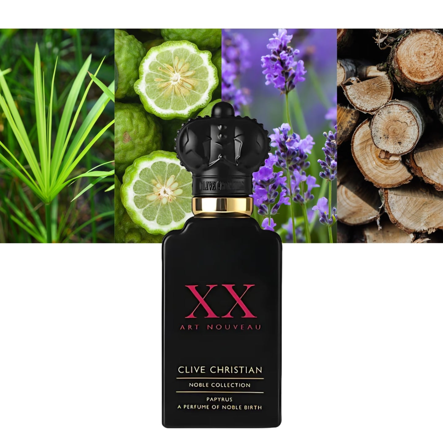 XX Art Nouveau Papyrus - Decant / Full Bottle
