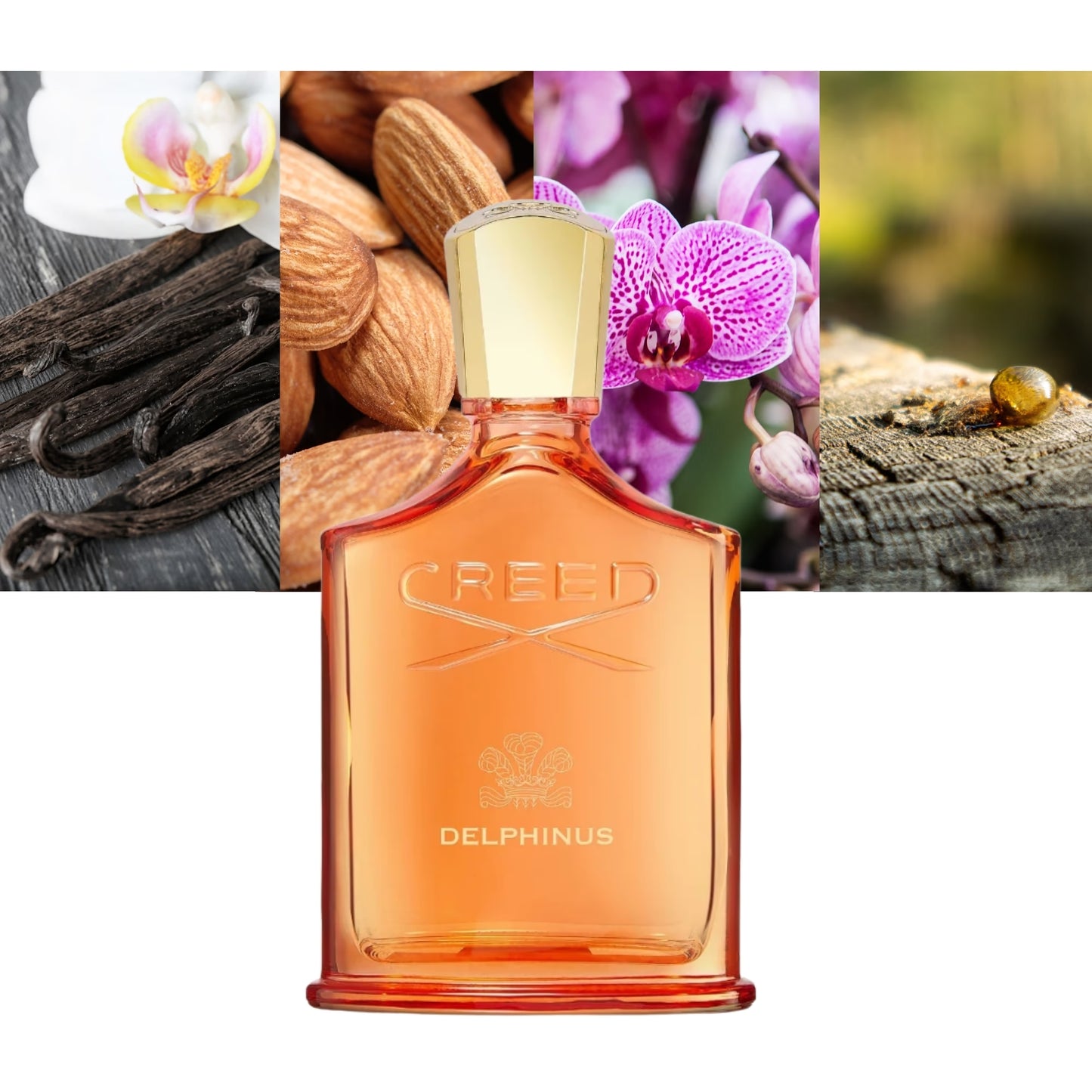 Delphinus by Creed - Decant / Sample