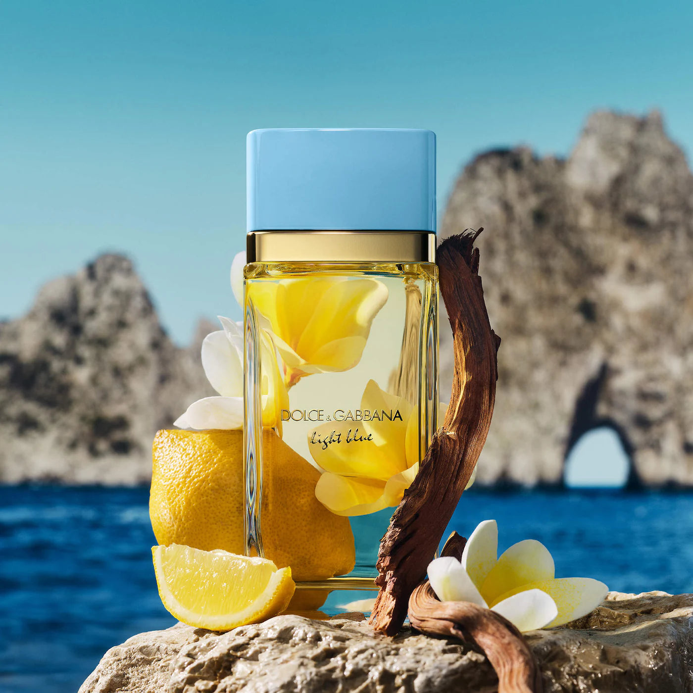 Light Blue EDP 2026 - Decant / Full Bottle