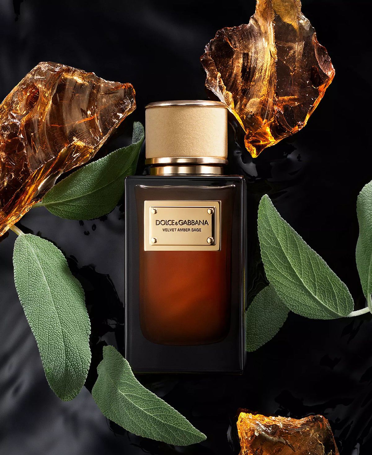 Velvet Amber Sage - Decant / Sample