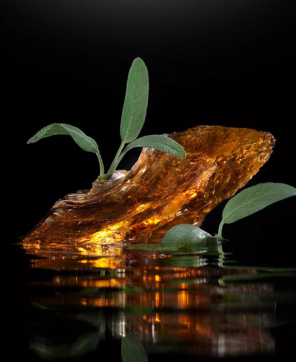 Velvet Amber Sage - Decant / Sample