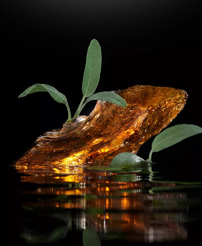 Velvet Amber Sage - Decant / Sample