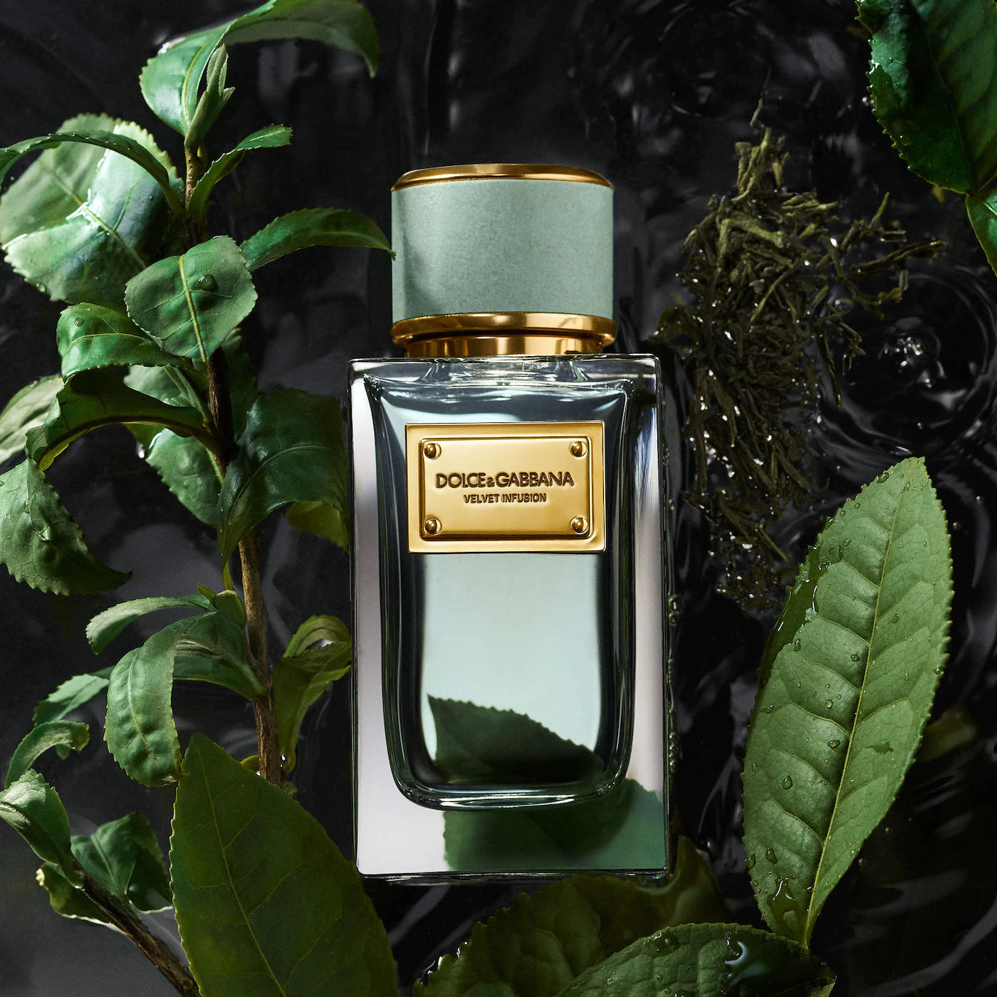Velvet Infusion - Decant / Full Bottle