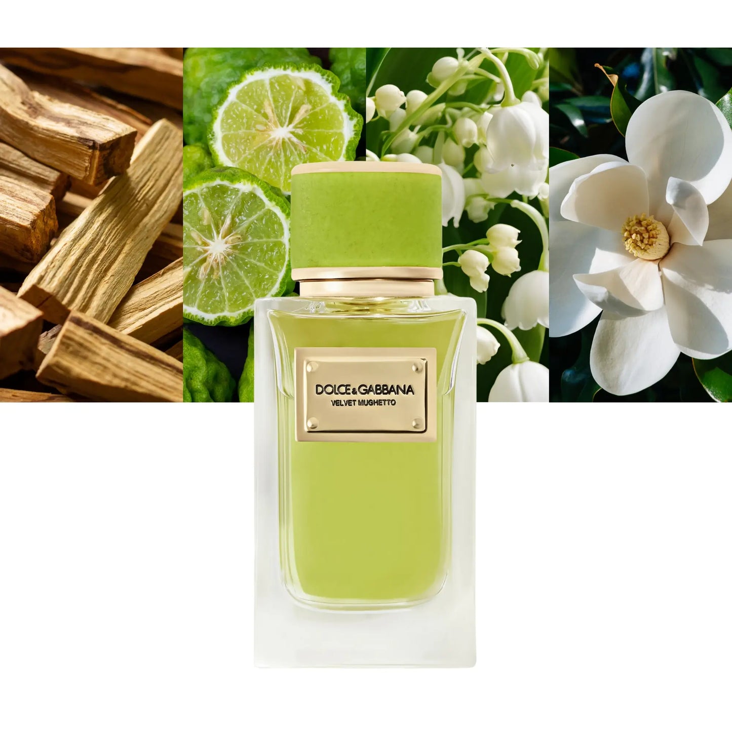 Velvet Mughetto - Decant / Full Bottle