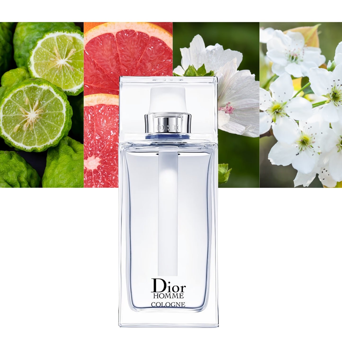 Dior Homme Cologne 2022 - Decant / Sample