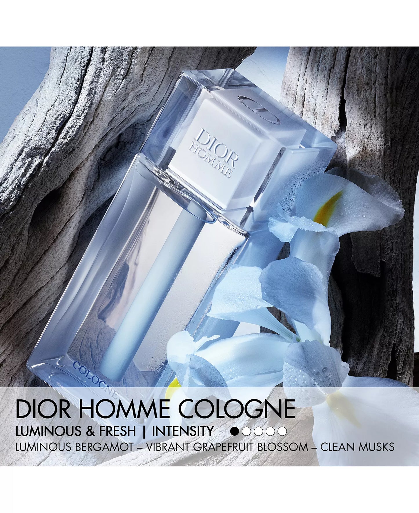 Dior Homme Cologne 2022 - Decant / Sample