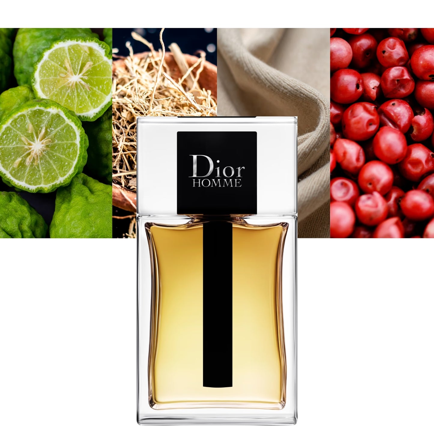Dior Homme EDT 2020 - Decant / Sample