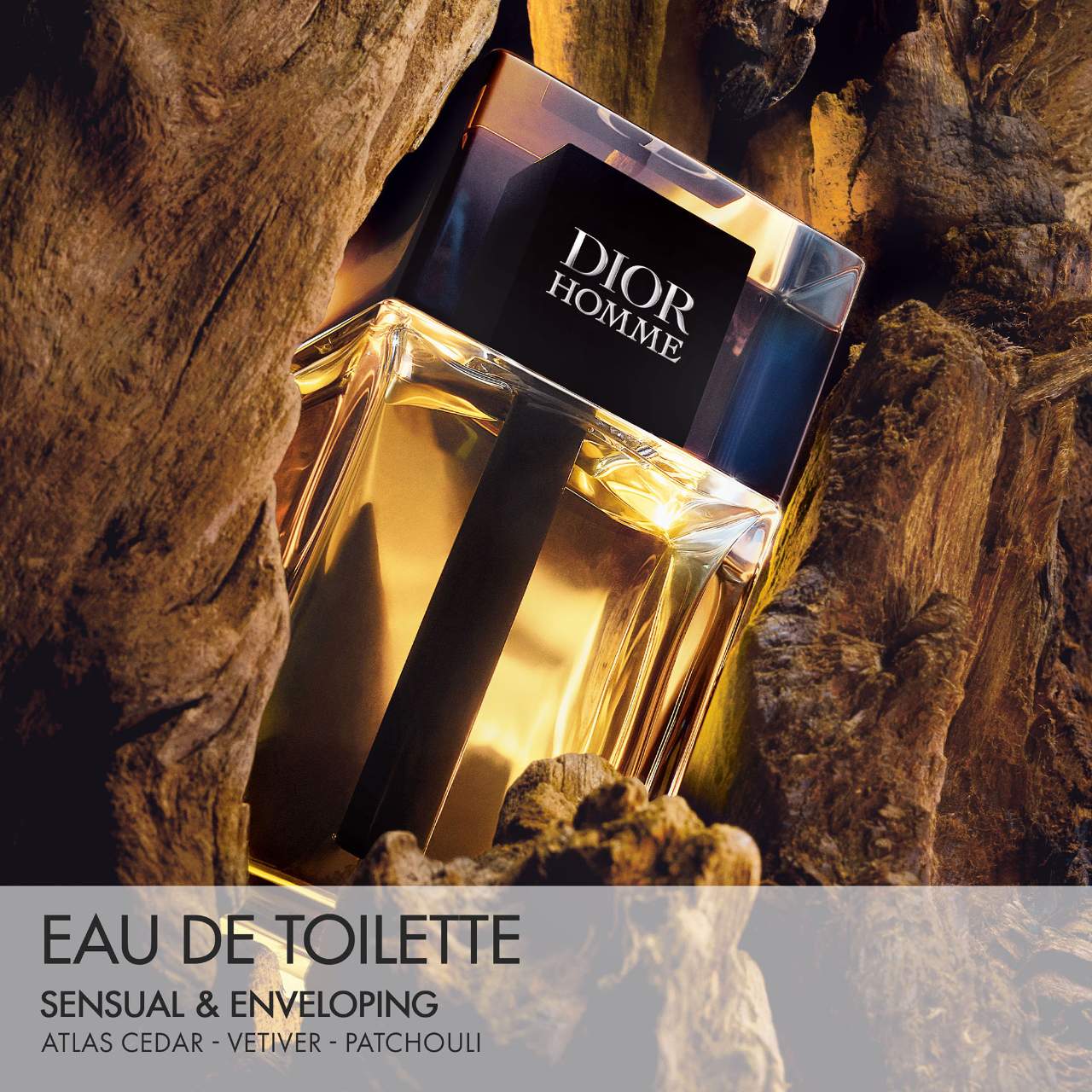 Dior Homme EDT 2020 - Decant / Sample