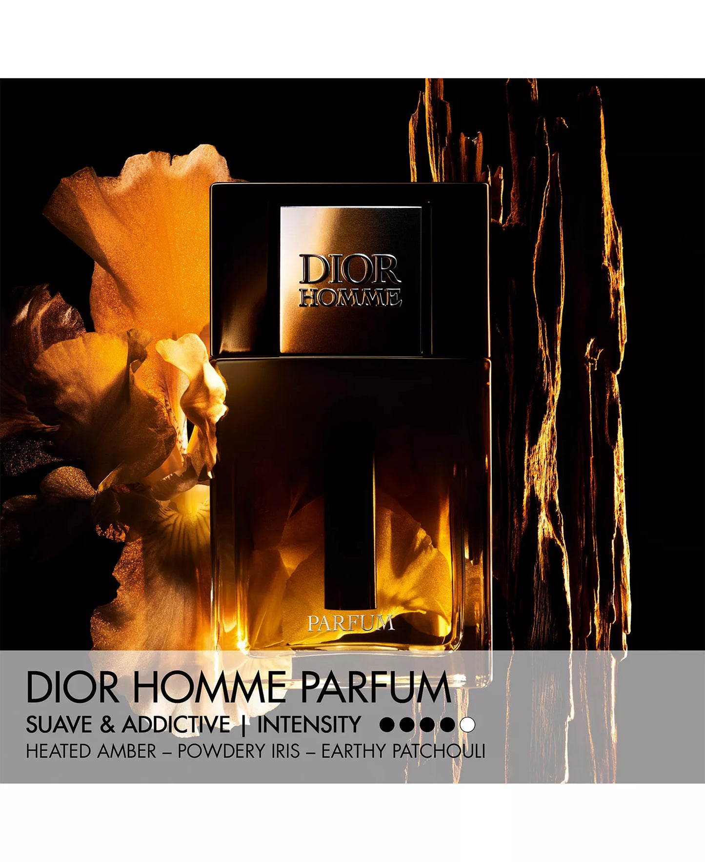 Dior Homme Parfum - Decant / Sample