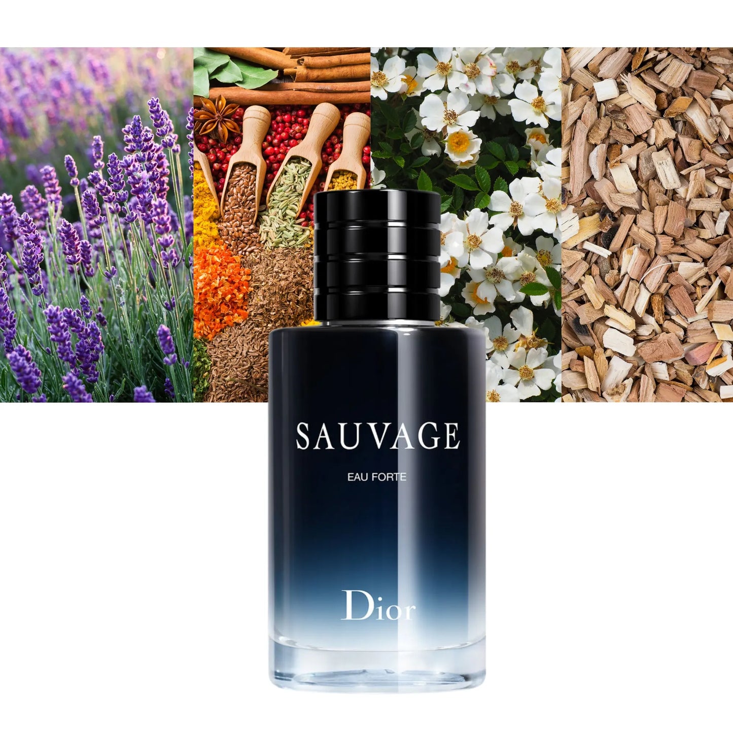 Sauvage Eau Forte by Dior - Decant / Sample