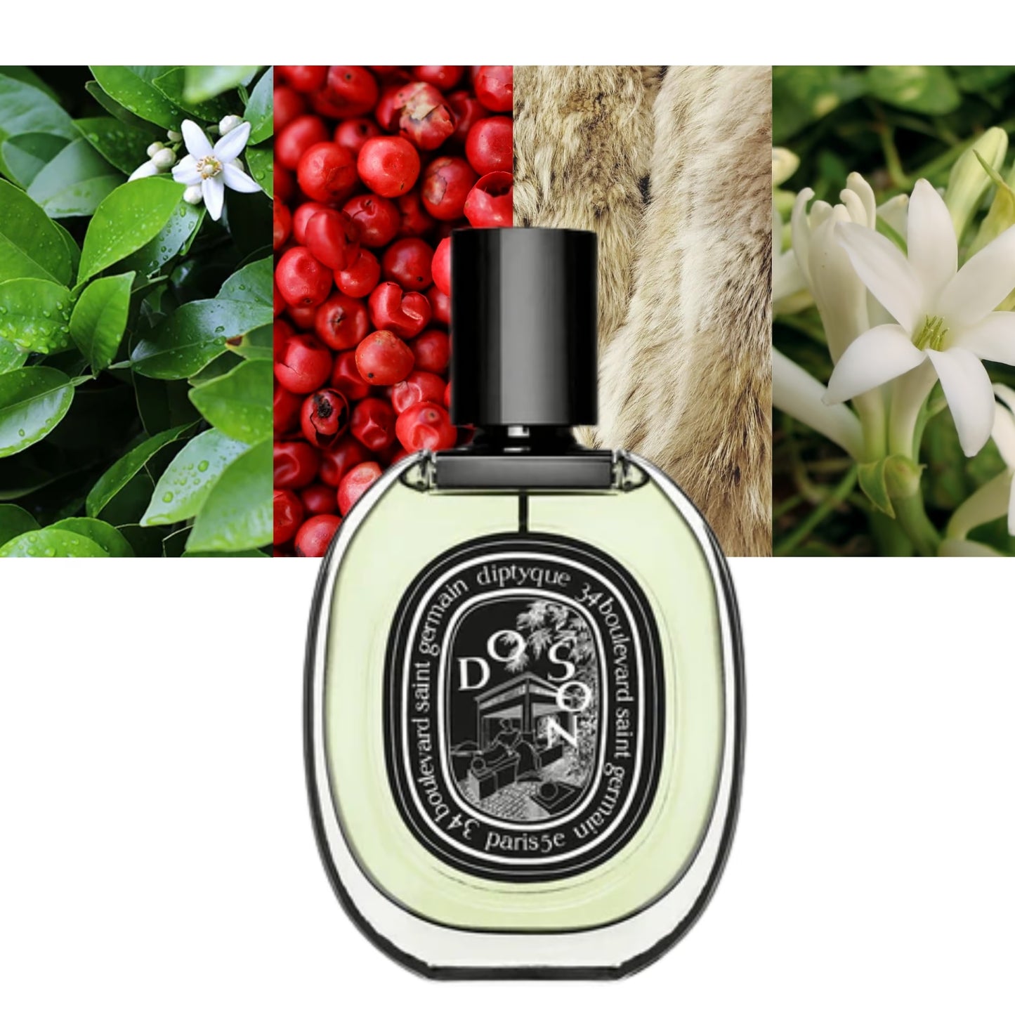 Do Son EDP - Decant / Full Bottle