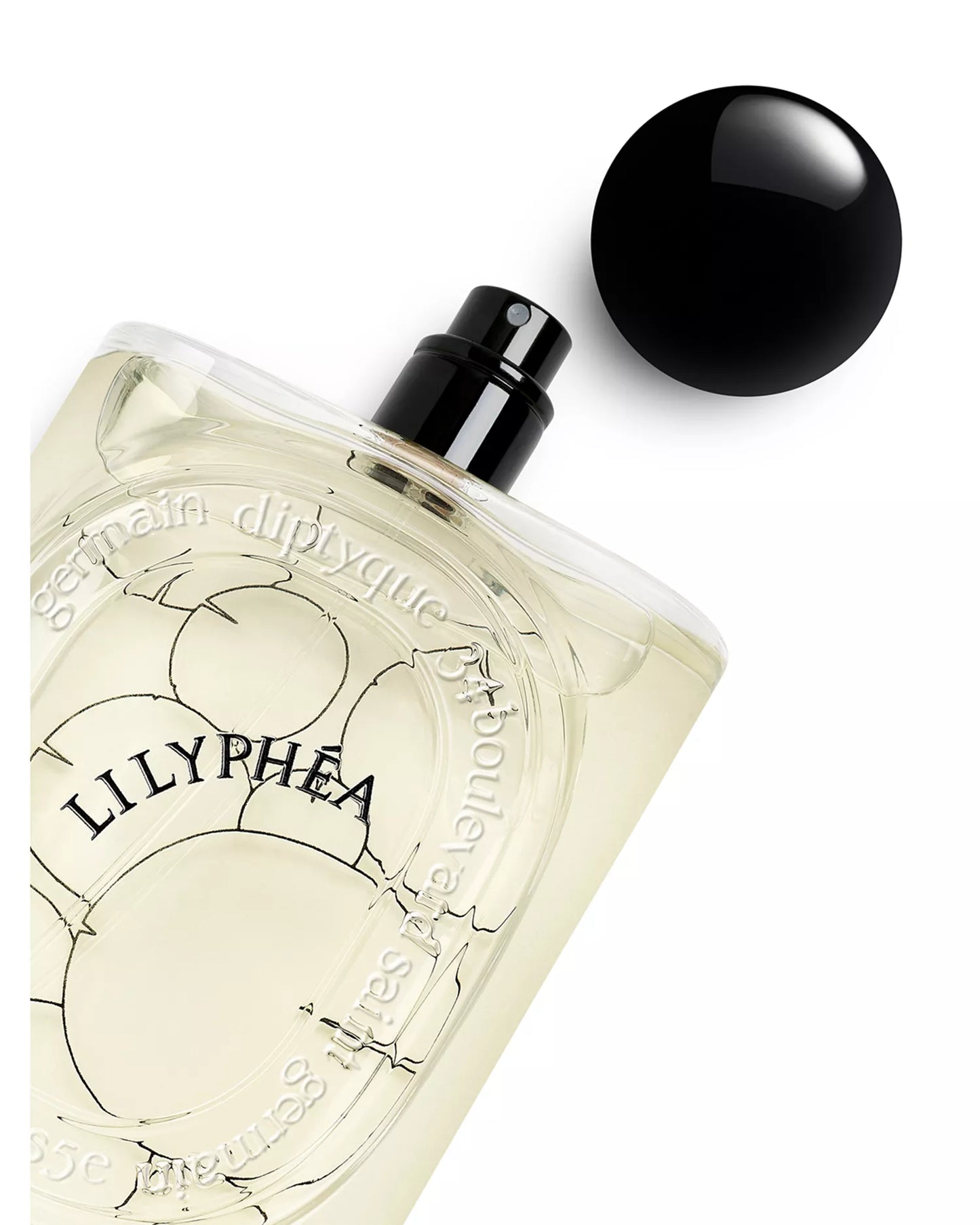 Lilyphea - Decant / Sample