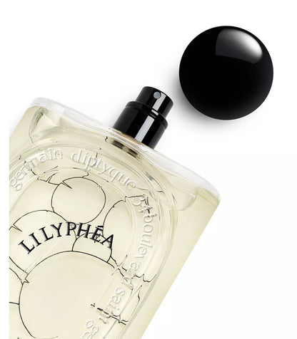 Lilyphea - Decant / Sample