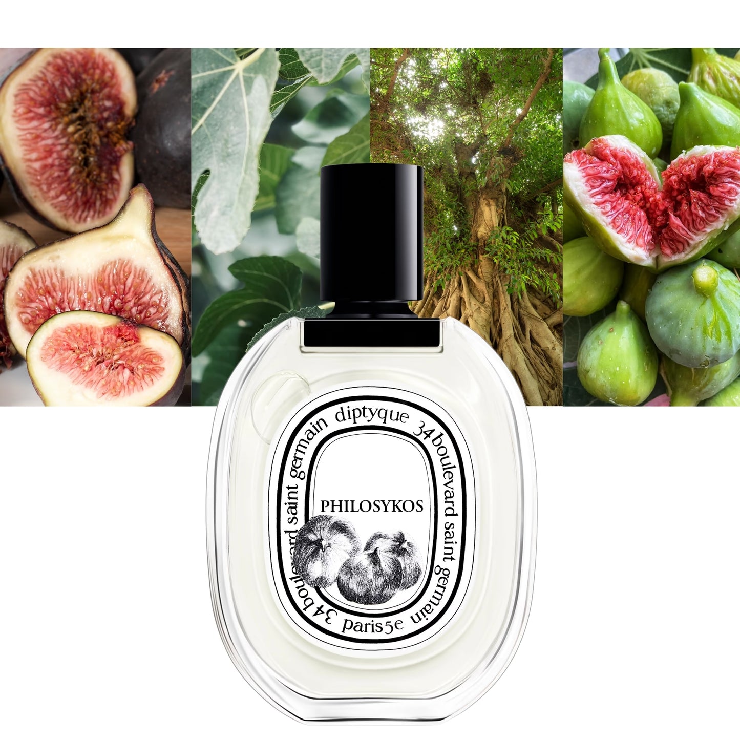 Philosykos EDT - Decant / Full Bottle