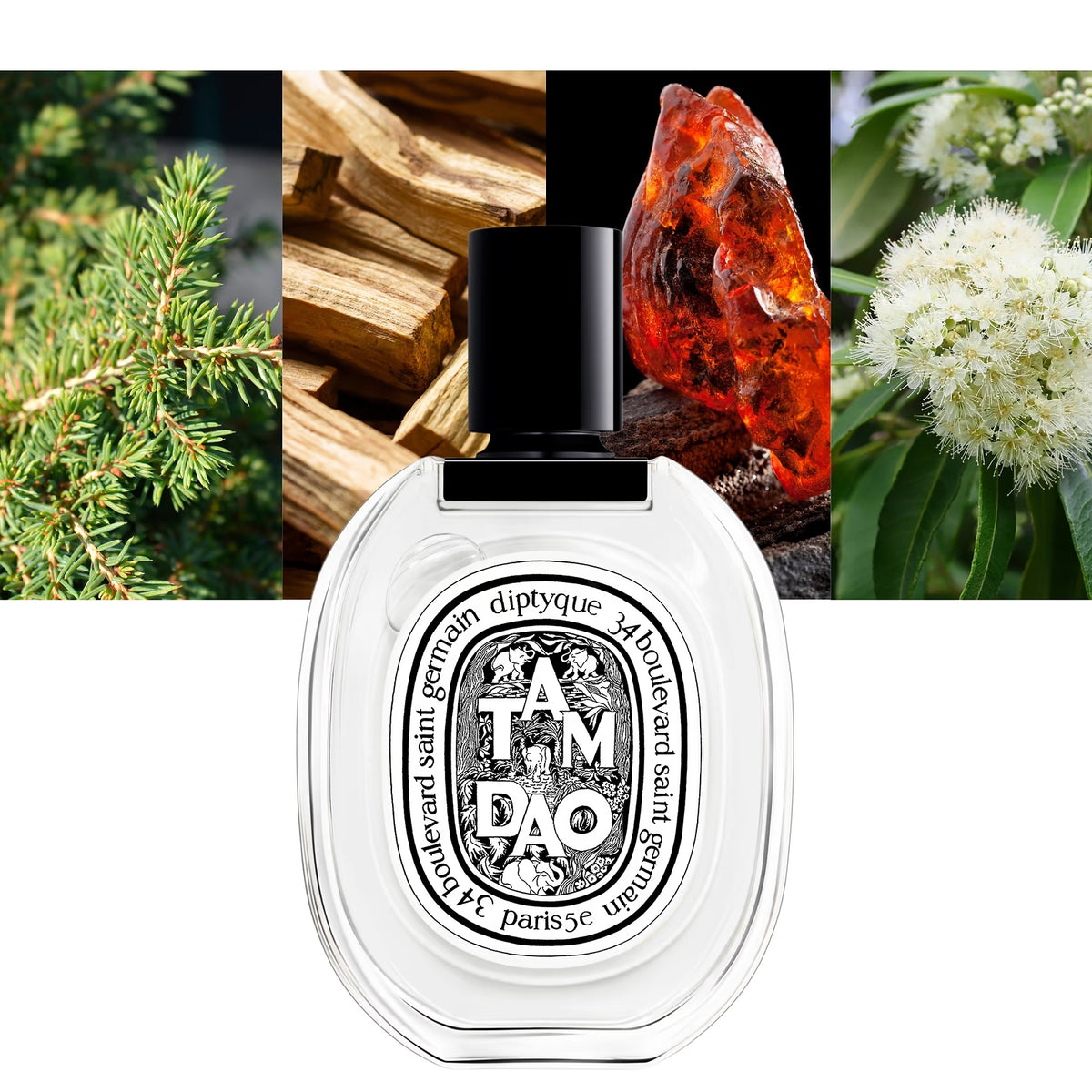 Tam Dao EDT - Decant / Full Bottle